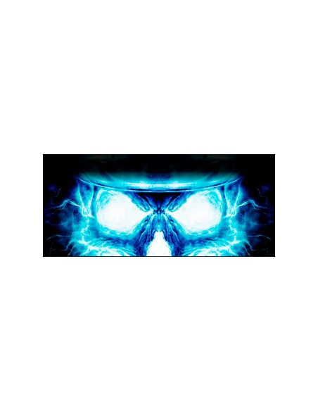 Autocollant ONE VISION N°9 PERFORE POUR