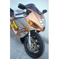 BULLE ERMAX HAUTE PROTECTION POUR GSXR 1300 R 99/2007