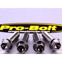 Vis de fixation pour étrier de moto