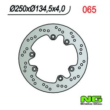 DISQUE DE FREIN NG BRAKE FIXE ARRIERE DROIT