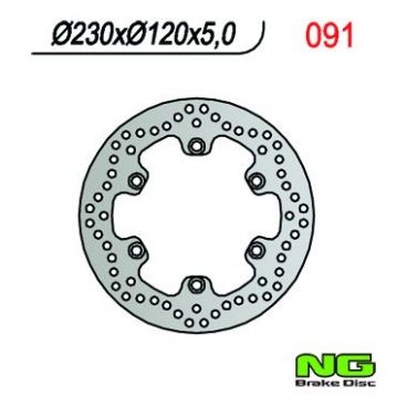 DISQUE DE FREIN NG BRAKE FIXE ARRIERE DROIT