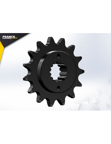 PSB 1100.S Monster '09/13 16 525