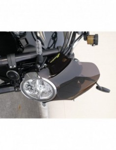 Saute-vent KAWASAKI Z900RS...