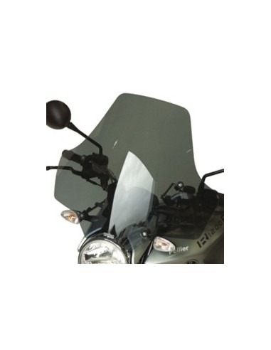 Pare-brise BMW R 1200 R Euroscreen 2006/2010