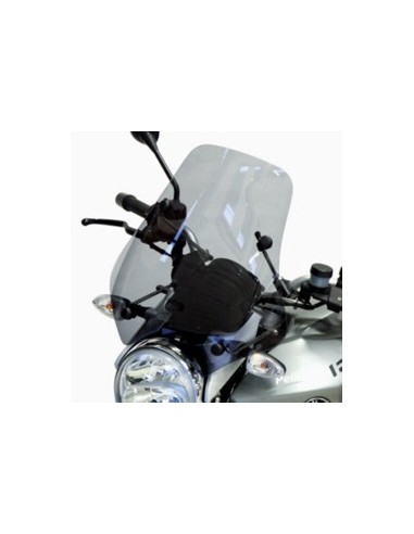 Pare-brise BMW R 1200 R Mini Rangers 2006/2010