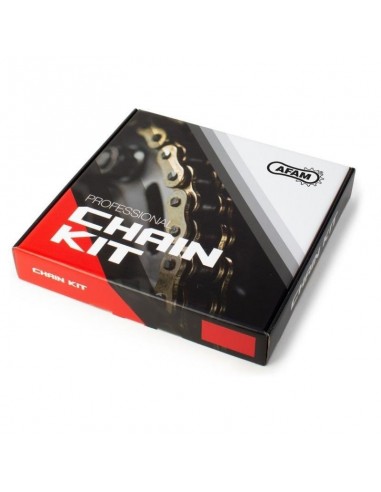 Kit chaine AFAM acier RIEJU RRX 50 SPIKE SM ROUES BATONS pas 420 2007 à 2009   