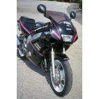 BULLE ERMAX TAILLE ORIGINE POUR YAMAHA FZR 600 91/93