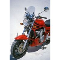 Pare Brise RACER POUR SPORSTER 883 R OU 1200