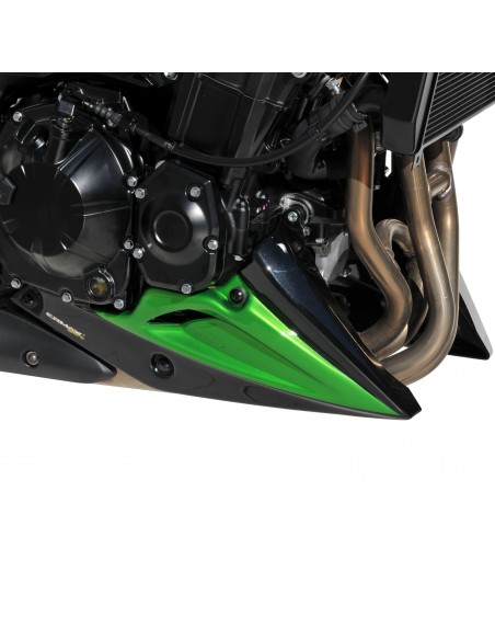 Sabot moteur Ermax pour Z900 2020/2021 