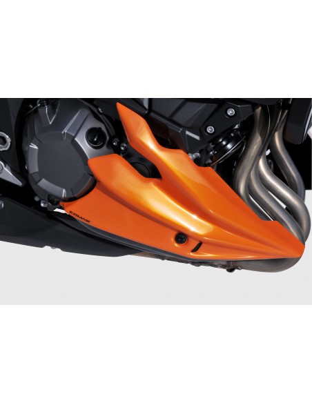 Sabot moteur Ermax pour Z800/800 E 2013/2016 