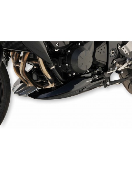 Sabot moteur Ermax pour Z 750 2007/2012 