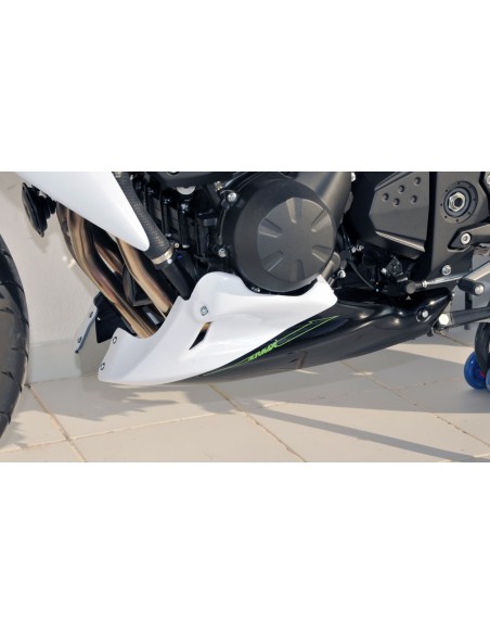 Sabot moteur Ermax pour Z 750 2007/2012 