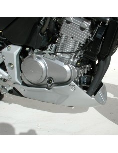Sabot moteur  Ermax pour  CBF 500 2004/2007