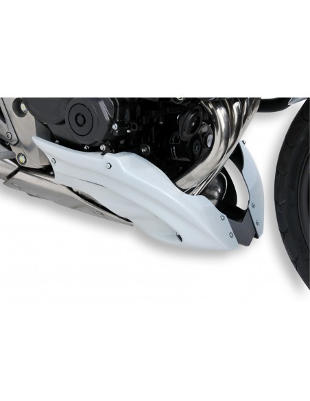 Sabot moteur  Ermax pour  CB 600 Hornet 2007/2010 