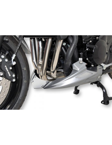 Sabot moteur Ermax pour GSF 650 BANDIT 2009/2015 