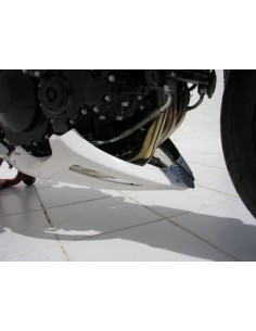 Sabot moteur Ermax pour Speed Triple 1050 2005-2007