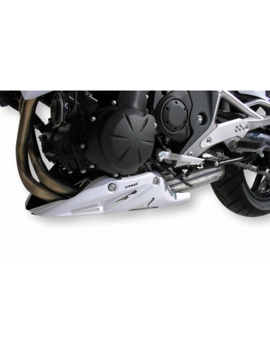 Sabot moteur Ermax pour ER 6 N 2009/2011 