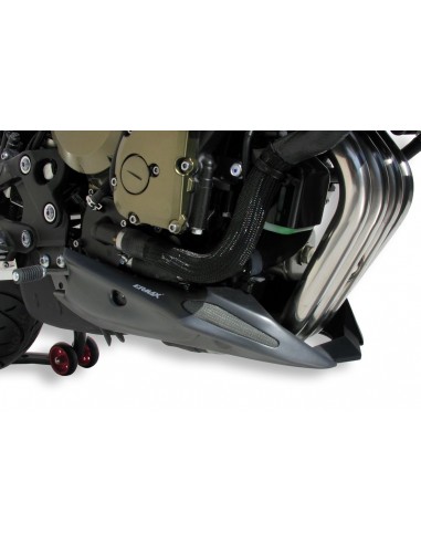 Sabot moteur Ermax pour XJ 6 2009-2012 