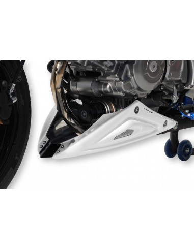 Sabot moteur Ermax pour SVF 650 GLADIUS 2009/2015 