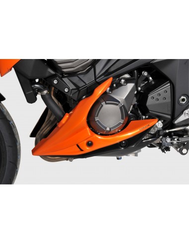 Sabot moteur Ermax pour Z800/800 E 2013/2016 