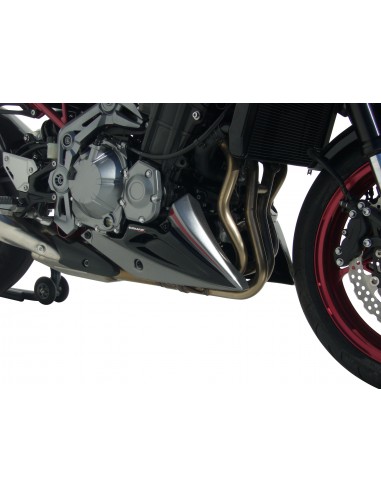 Sabot moteur Ermax pour z 900 2017/2019 