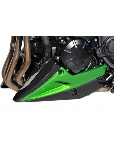 Sabot moteur Ermax pour Z900 2020/2021 
