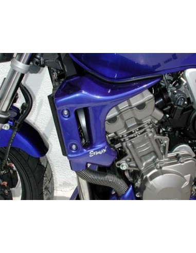 Ecopes Ermax pour  CB 900 Hornet 2002/2007 