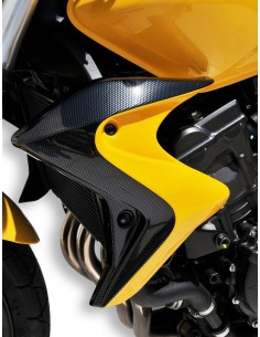 Ecopes Ermax pour CB 600 F Hornet 2011/2013