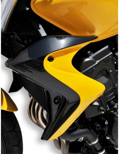 Ecopes Ermax pour CB 600 F Hornet 2011/2013 