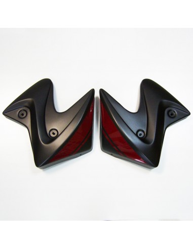 ecopes ermax pour SV 650 N 2016/2021 