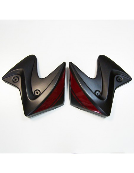 ecopes ermax pour SV 650 N 2016/2021 