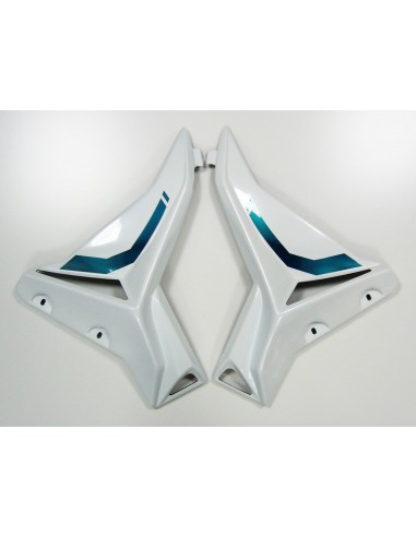 Ecopes Ermax pour MT07 2014/2017 