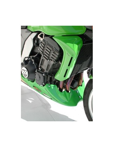 Ecopes  (paire) Ermax pour  Z 1000 2003/2006 