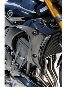 Ecopes Ermax pour FZ 8 2010/2017  2