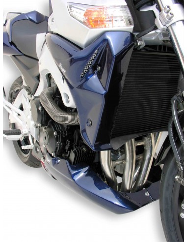 Ecopes Ermax pour  GSR 600 2006/2011 