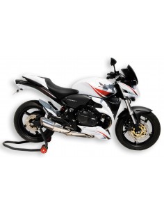 Ecopes Ermax pour CB 600 Hornet 2007/2010