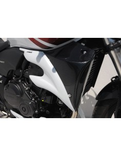 Ecopes Ermax pour CB 600 Hornet 2007/2010  2