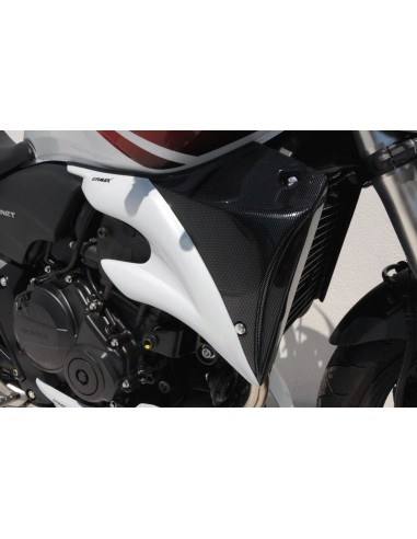 Ecopes Ermax pour CB 600 Hornet 2007/2010 