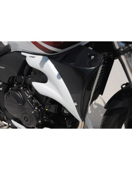 Ecopes Ermax pour CB 600 Hornet 2007/2010 