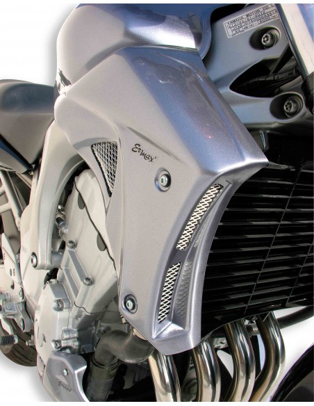 Ecopes Ermax pour FZ 6 / S2 2004/2010 