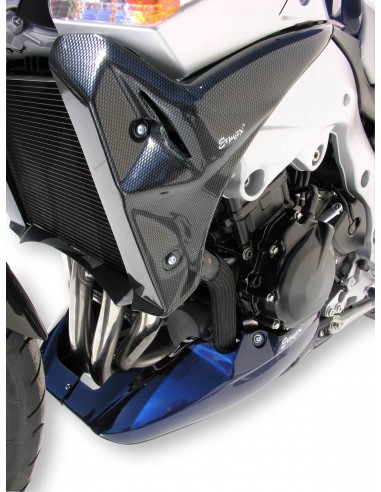 Ecopes Ermax pour  GSR 600 2006/2011 