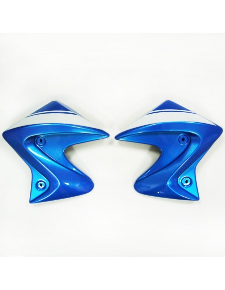 ecopes ermax pour SV 650 N 2016/2021 