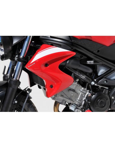 ecopes ermax pour SV 650 N 2016/2021 
