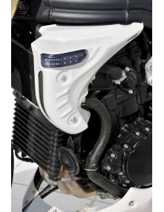 Ecopes (paire) Ermax pour Speed Triple 1050 05/07 avec clignotants