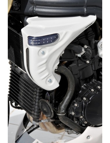 Ecopes (paire) Ermax pour Speed Triple 1050 05/07 avec clignotants 