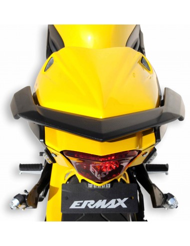 Capot de selle Ermax pour XJ 6 N 2009-2012 