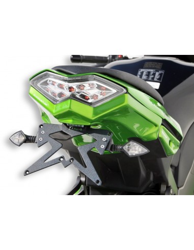 Support de plaque Ermax pour Z 1000 SX / NINJA 1000 2011/2016 