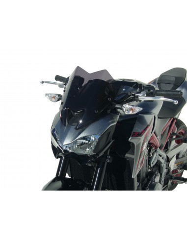 Saute vent hypersport Ermax pour Z 900 2017-2019 