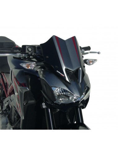 Tete de fourche Ermax pour Z 900 2017-2019 