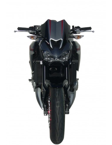 Tete de fourche Ermax pour Z 900 2017-2019 